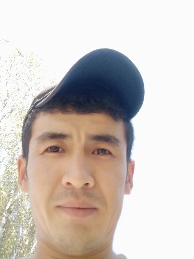  17895807  , 34 ,    