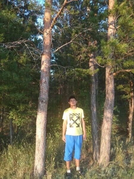 ���������� ���������, ���� ������� �������, 31 ���, ������������ ��� ������, ����� � ���������, c�������� ���������