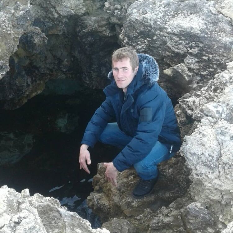 ���� 11654117 ������� ���������, 31 ���, ���� ���������� � �����������