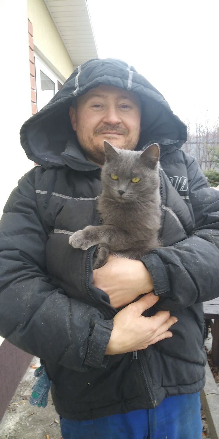 ���������� ���������, ���� ������� ���������, 44 ����, ������������ ��� ������, ����� � ���������, c�������� ���������