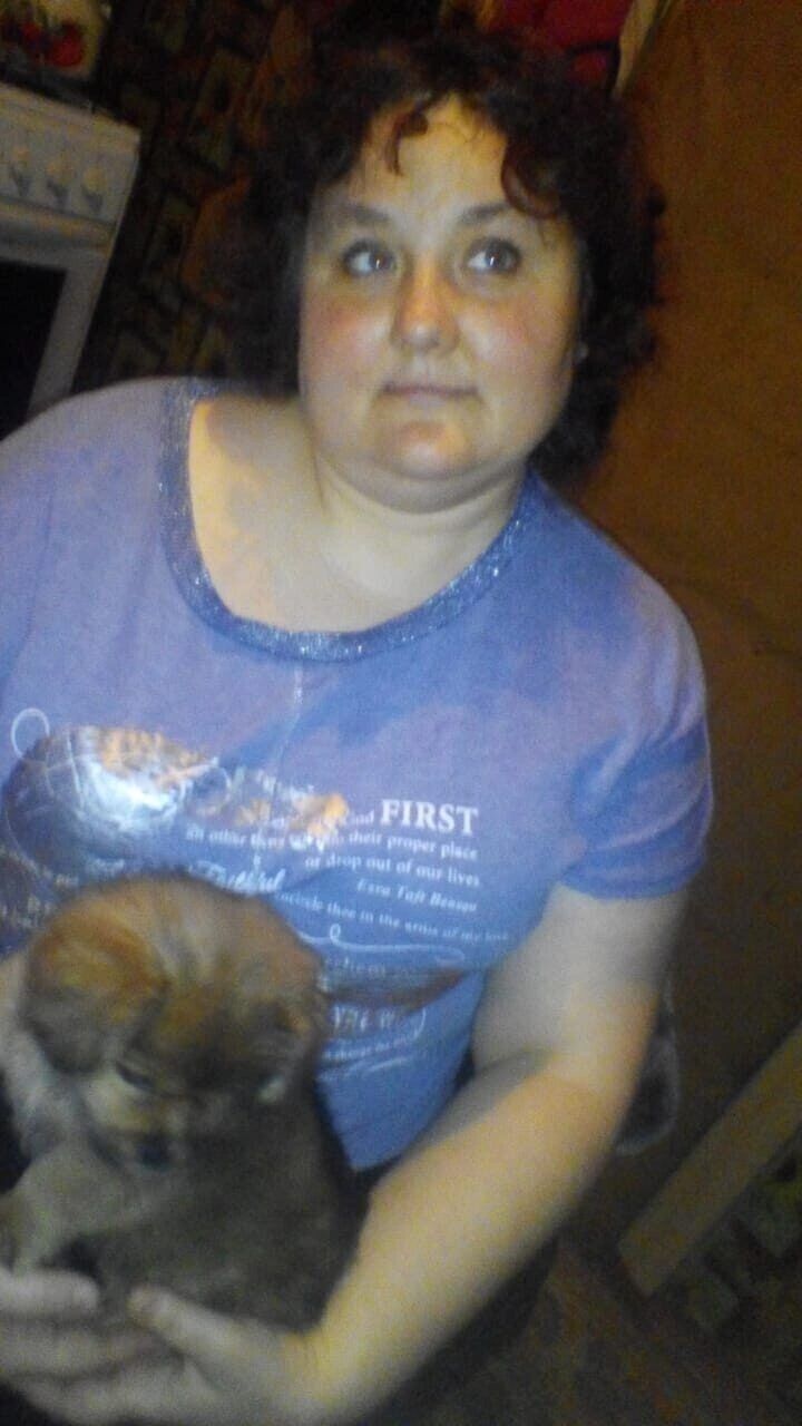 ���� 42562487 ������� �������, 38 ���, ���� ���������� � ����������