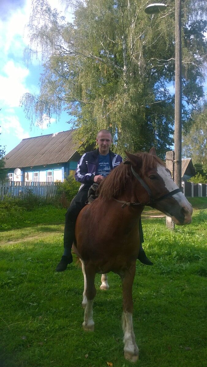  ,   Dima, 38 ,   ,   , c 