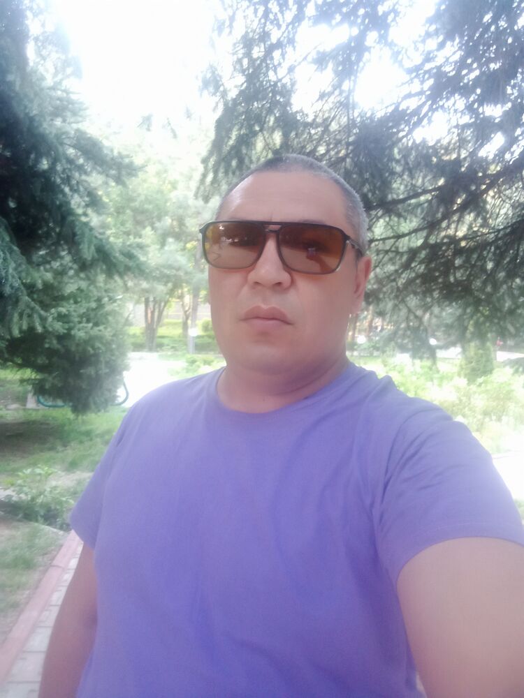  41934757  , 43 ,    