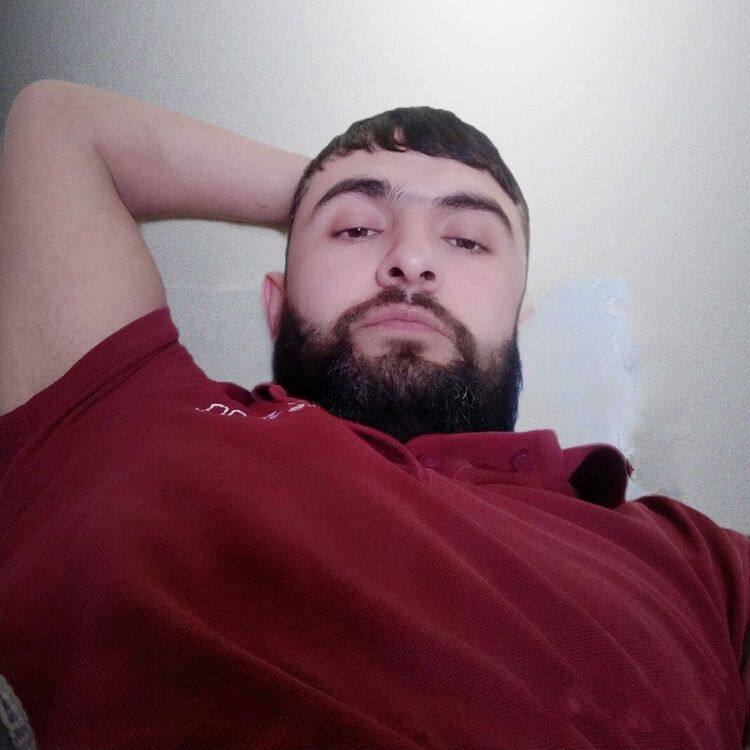  23375537  , 43 ,    