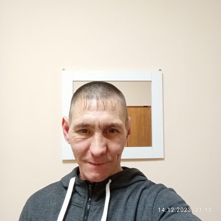  40335077  , 41 ,    