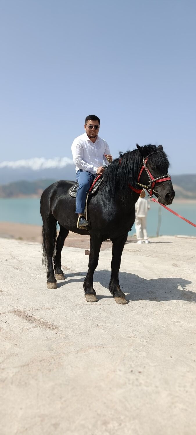  26609677  Begzod, 37 ,    