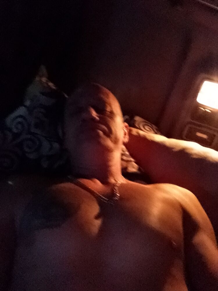  41704837  , 53 ,    -
