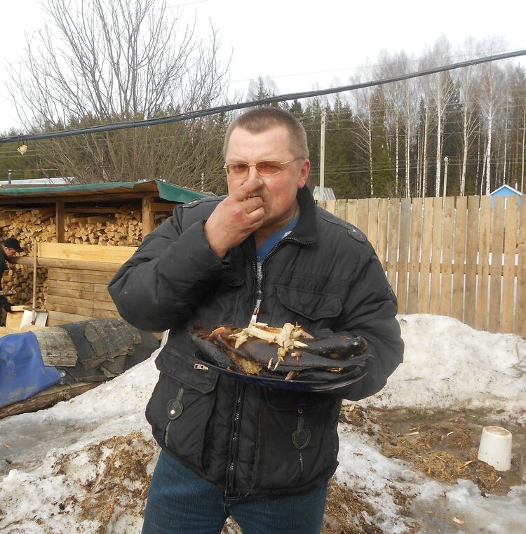 ���� 55190277 ������� �������, 55 ���, ���� ���������� � ������