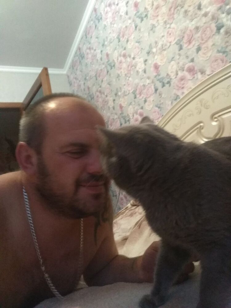 ,   , 43 ,   