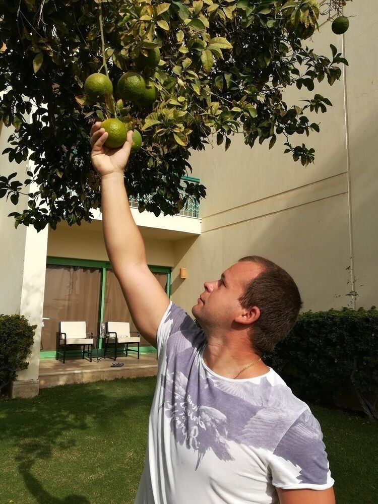 ���� 15375557 ������� �����, 40 ���, ���� ���������� � ������