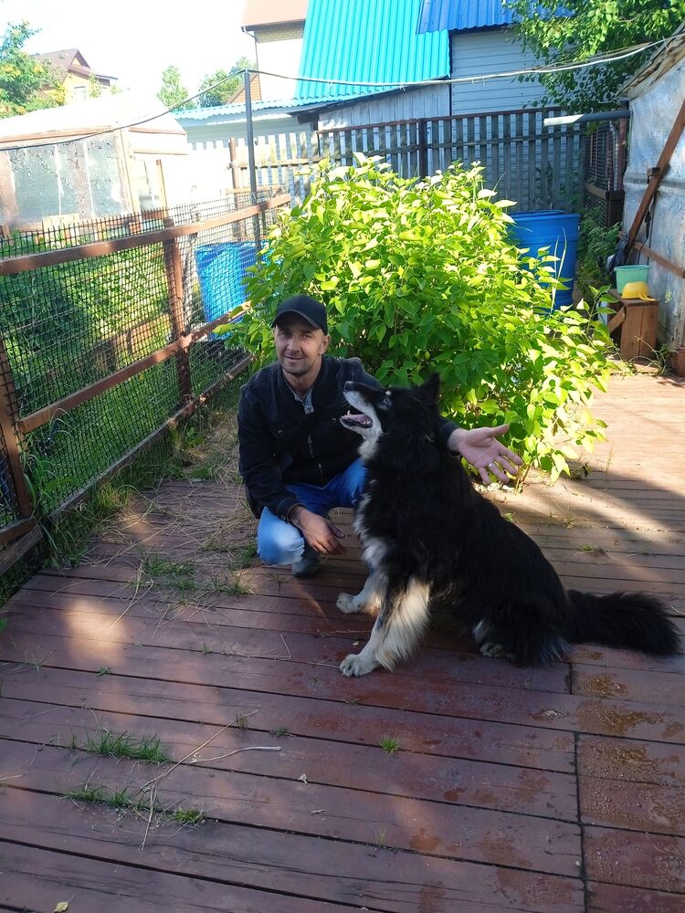 ���� 28834577 ������� ����, 47 ���, ���� ���������� � ����������