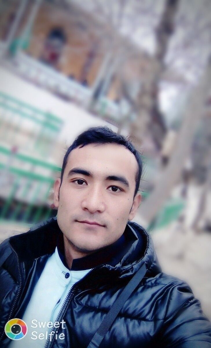  15113787  , 31 ,    