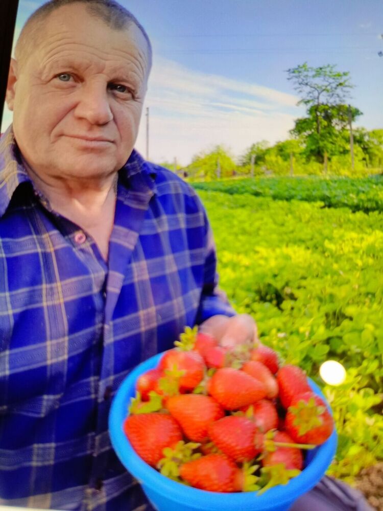 ���� 55618137 ������� ������, 64 ����, ���� ���������� � �������