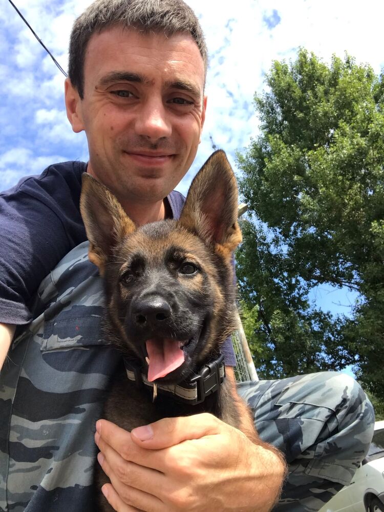 ���������� ������, ���� ������� ���, 35 ���, ������������ ��� ������, ����� � ���������