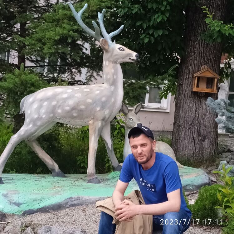  45036497  , 41 ,    --