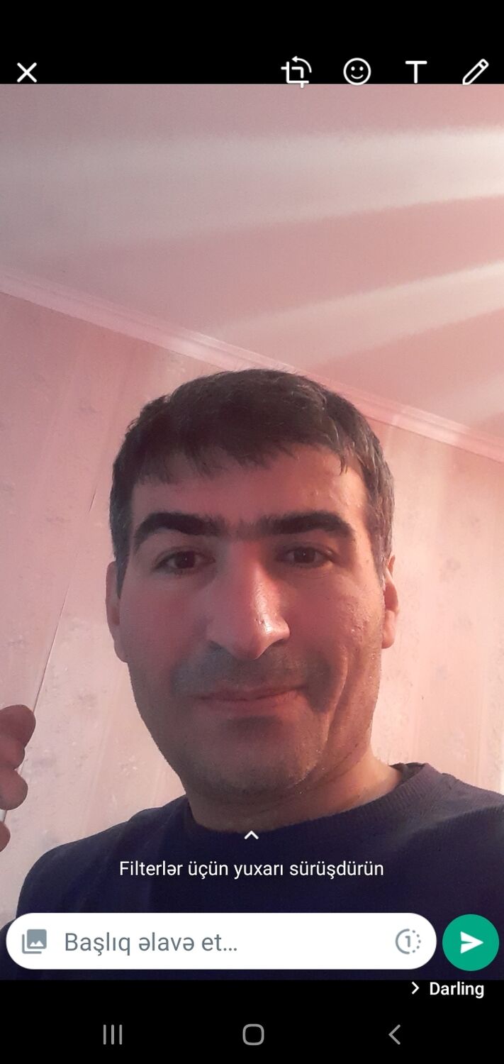  38197007  , 43 ,    