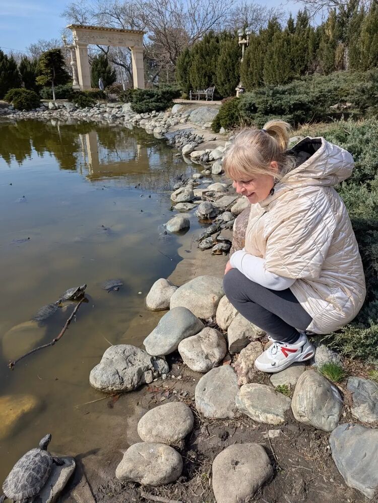 ���� 55984987 ������� ��������, 50 ���, ���� ���������� � �����