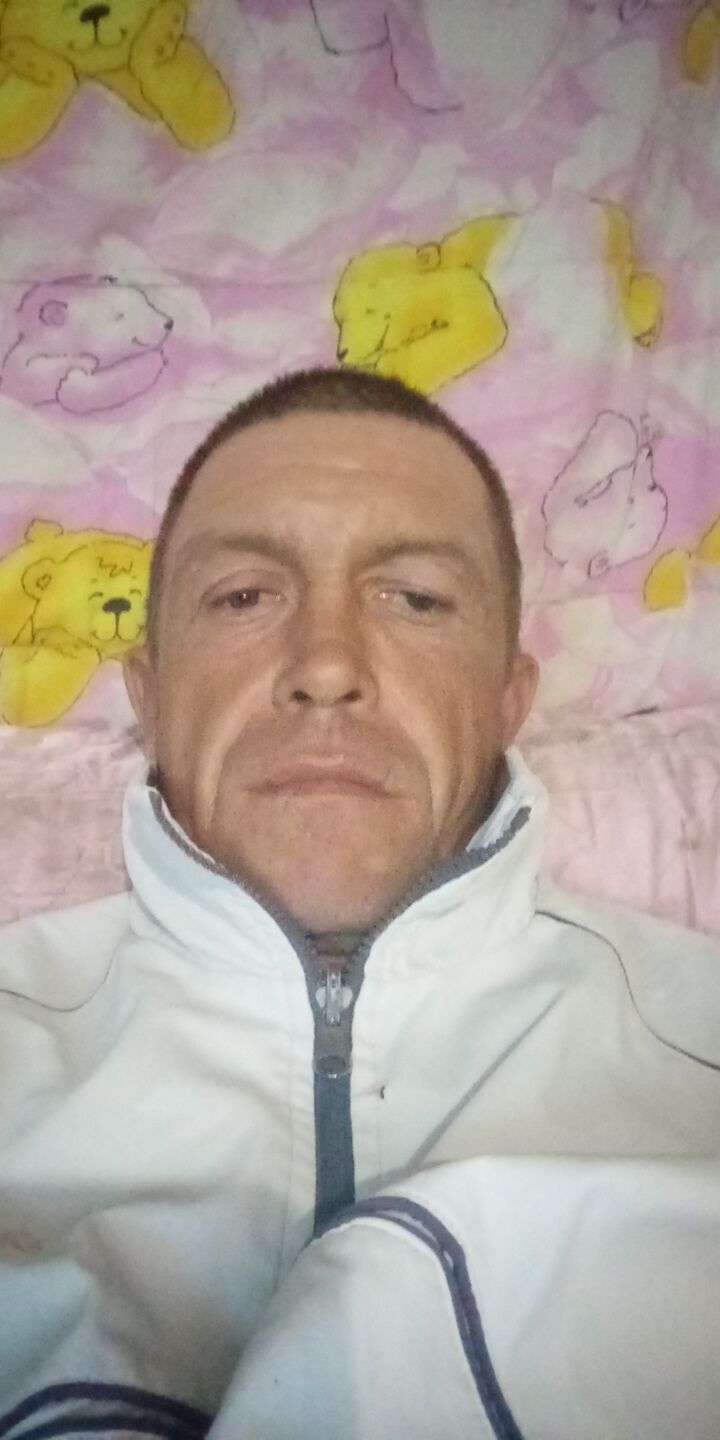  33536947  Alexander, 44 ,    