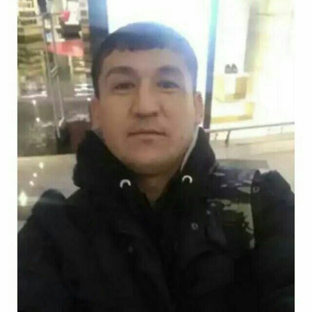  33417447  , 38 ,     