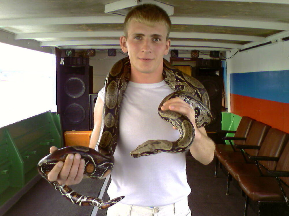 ���� 9803307 ������� �����, 39 ���, ���� ���������� � ����������