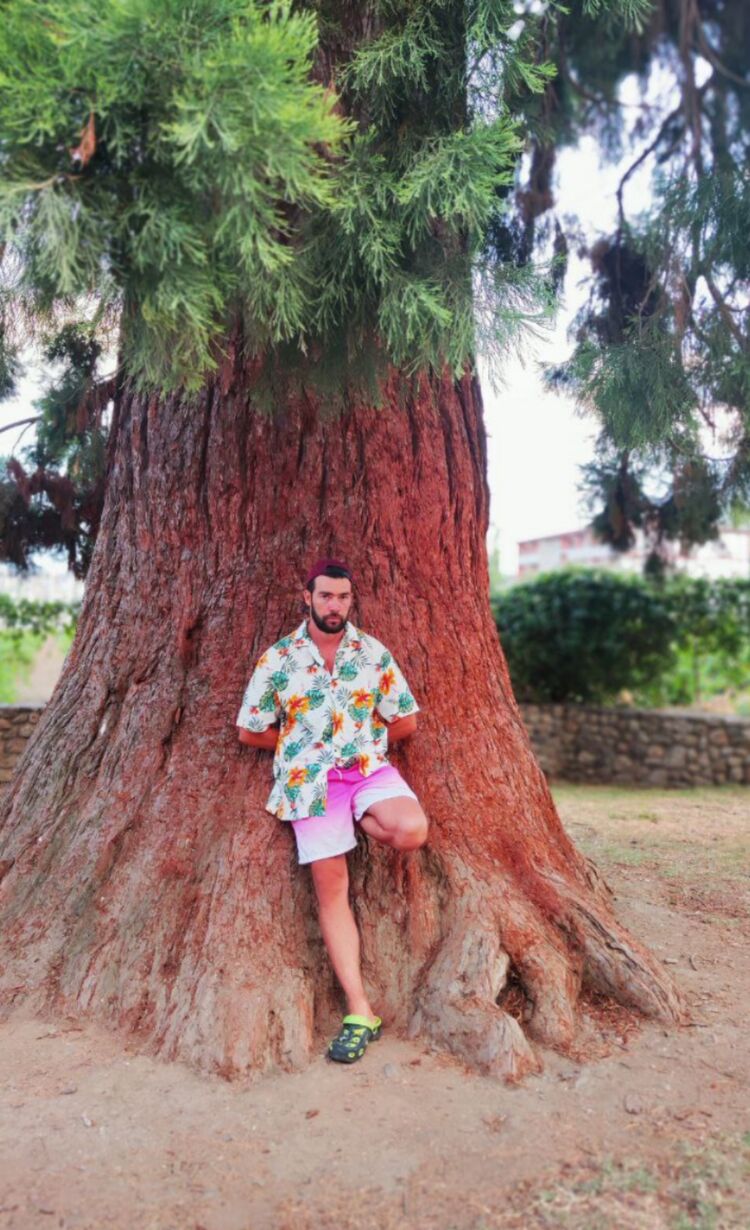 ���������� �����������, ���� ������� ������������, 33 ����, ������������ ��� ������, ����� � ���������