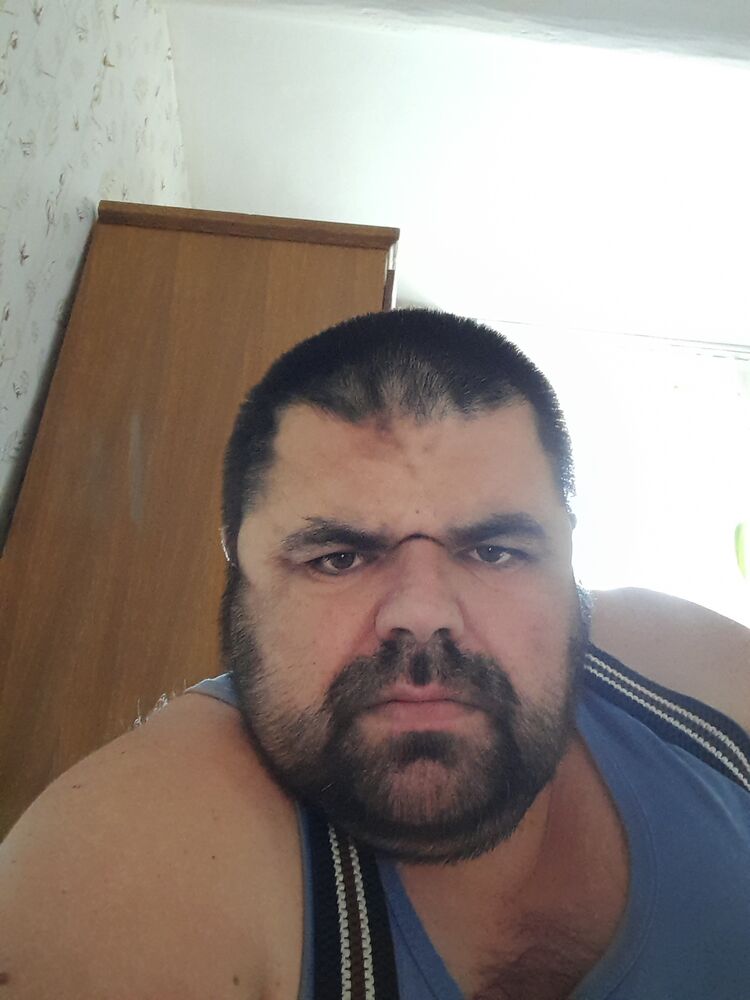  44579087  , 46 ,    