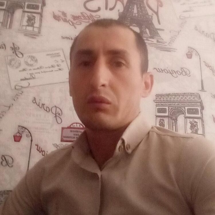  28460287  , 41 ,    