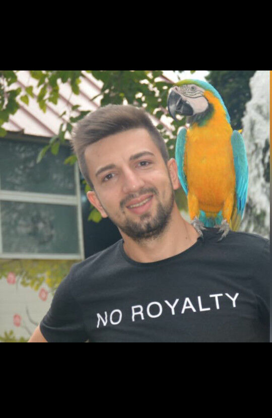 ���������� ������, ���� ������� Kuzeydengeln, 29 ���, ������������ ��� ������, ����� � ���������, c�������� ���������