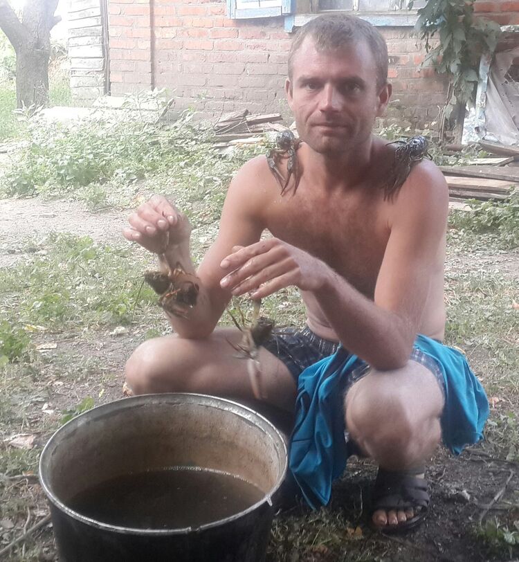  ,   , 43 ,   