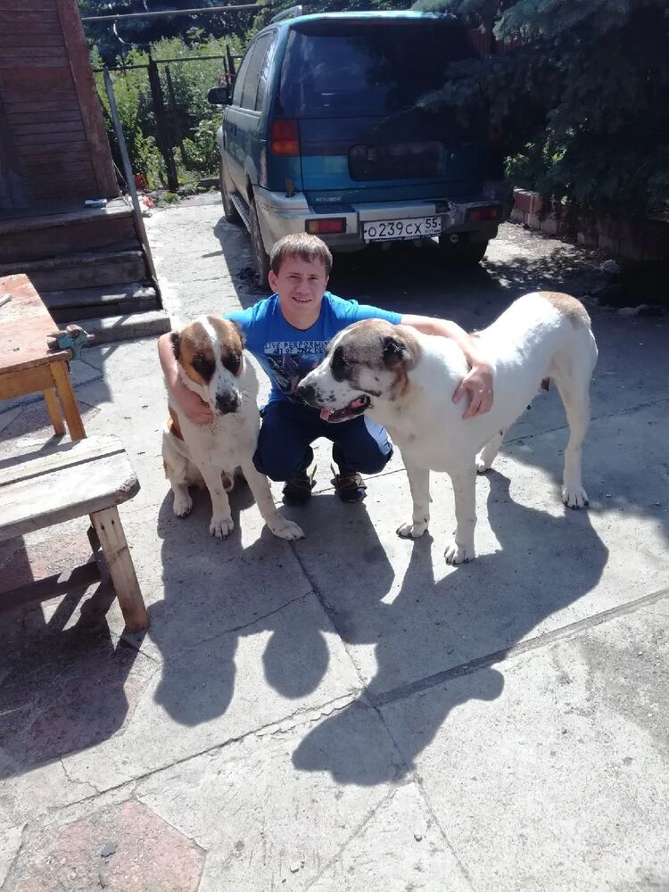  ,   Ilya, 33 ,   ,   