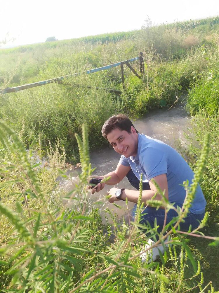 ���� 39393727 ������� ������, 37 ���, ���� ���������� � ������