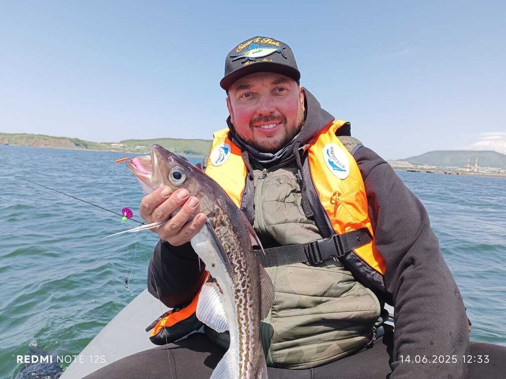  54654017  , 40 ,    -