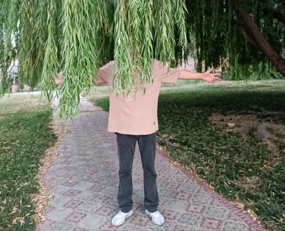 ���������� ����������, ���� ����� ����, 20 ���, ������������ ��� ������, ����� � ���������