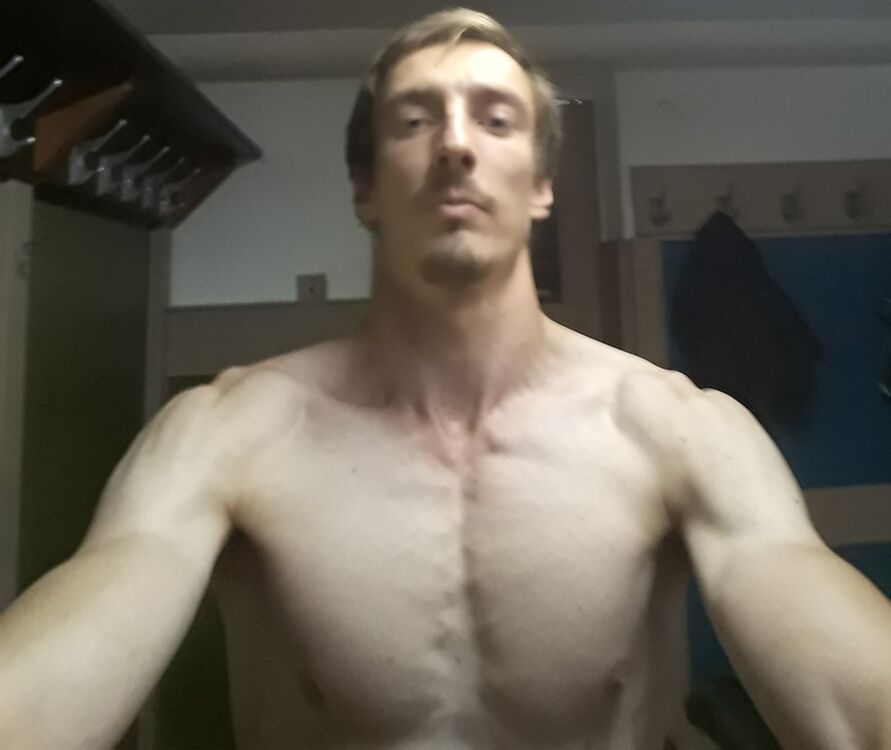 ���� 17339237 ������� �������, 33 ����, ���� ���������� � ����������