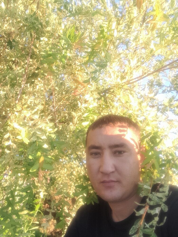  ,   , 38 ,     , c 