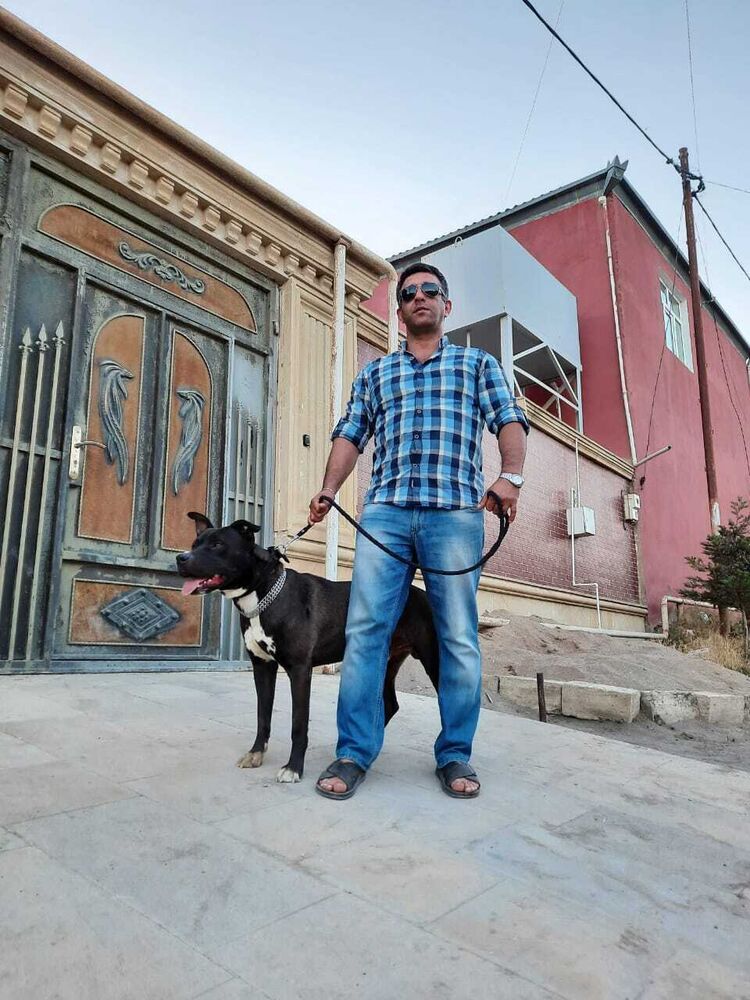 ���� 23214817 ������� �����, 47 ���, ���� ���������� � ����