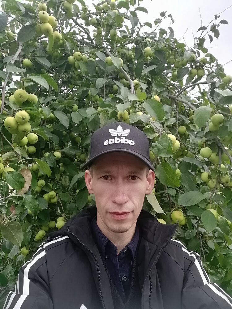 ���������� ������������, ���� ������� �����, 40 ���, ������������ ��� ������, ����� � ���������, c�������� ���������, ���������