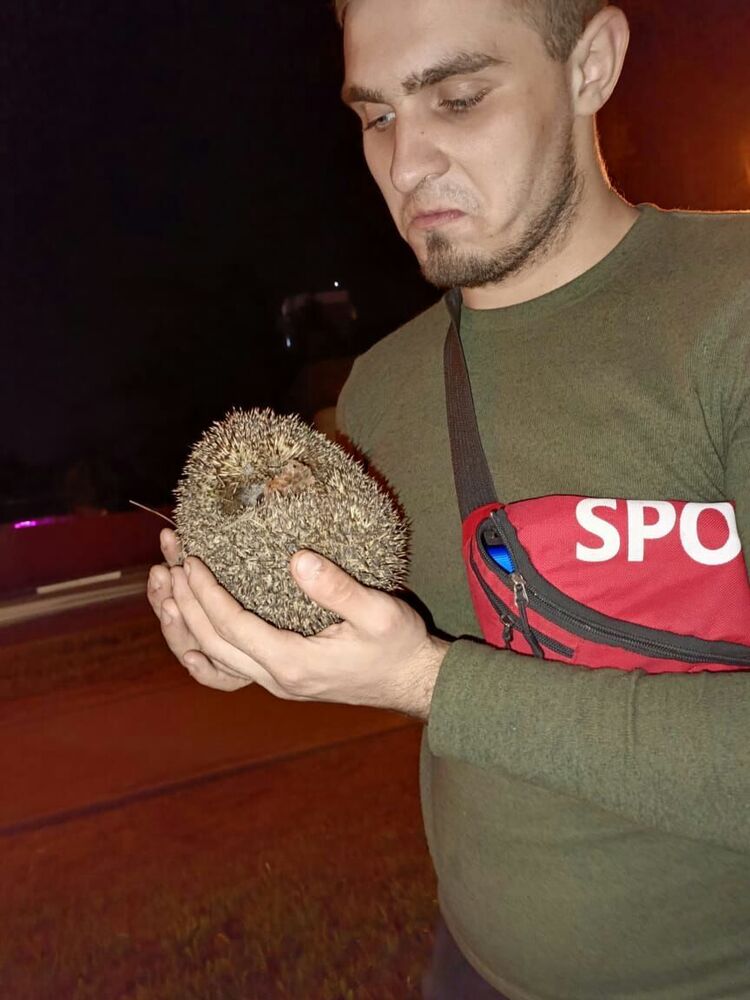 ���������� ������, ���� ����� Oleg, 24 ����, ������������ ��� ������, ����� � ���������, c�������� ���������