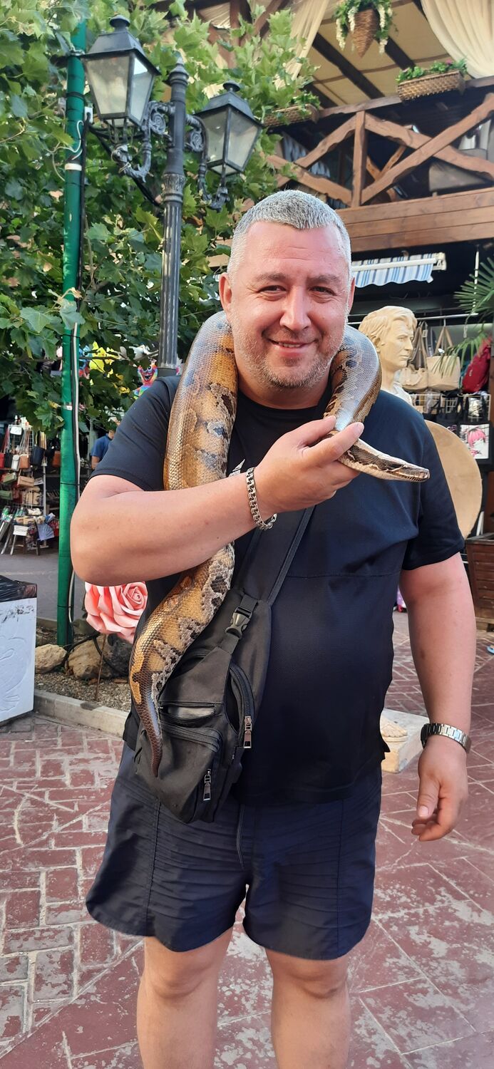 ���������� ��������, ���� ������� ������, 41 ���, ������������ ��� ������, ����� � ���������, c�������� ���������, ���������