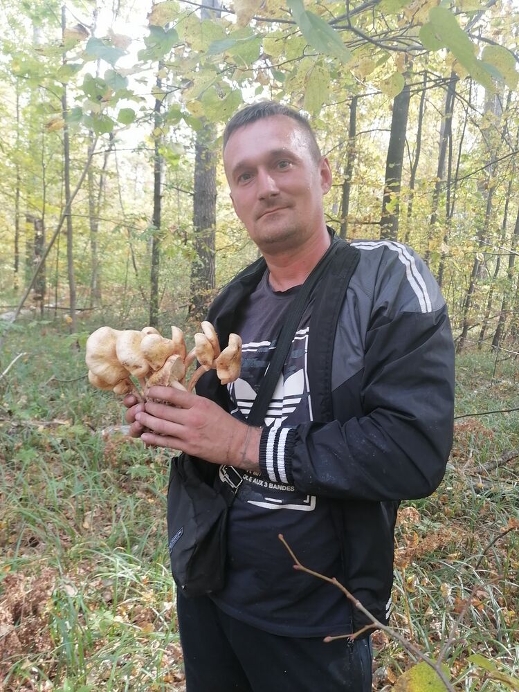  ,   , 40 ,   ,   