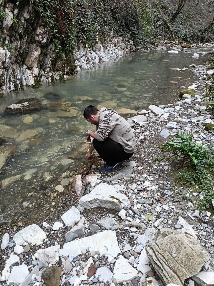 ���������� �������, ���� ������� ����, 36 ���, ������������ ��� ������, ����� � ���������, c�������� ���������, ���������