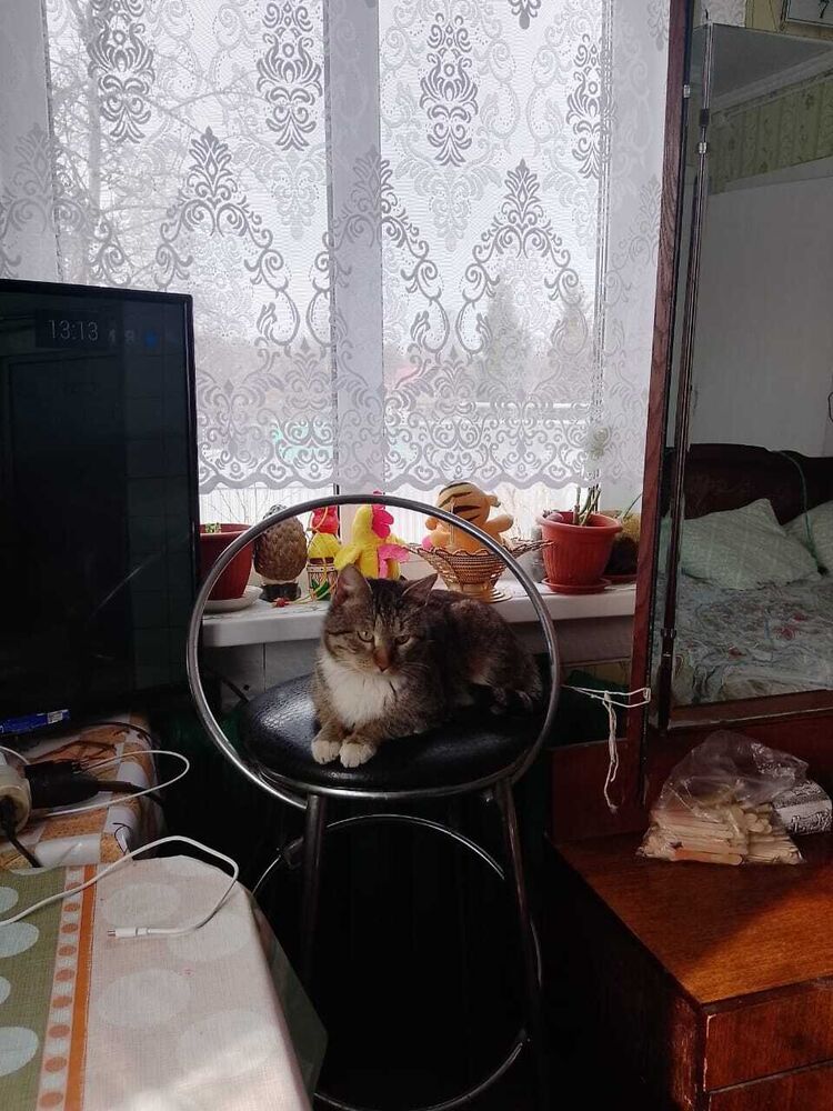 ,   , 28 ,     , c 