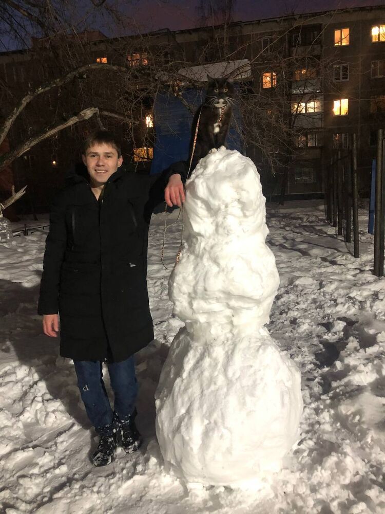 ���������� ������������, ���� ������� ���������, 37 ���, ������������ ��� ������, ����� � ���������