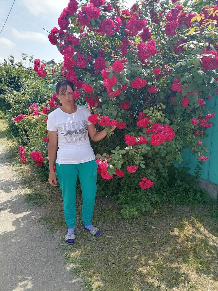 ���������� ���������, ���� ������� ���, 38 ���, ������������ ��� ����� � ���������, ���������