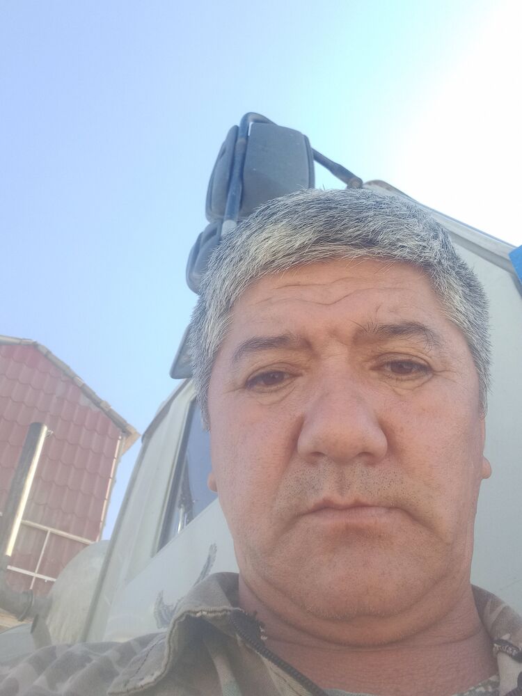  37516217  , 54 ,    