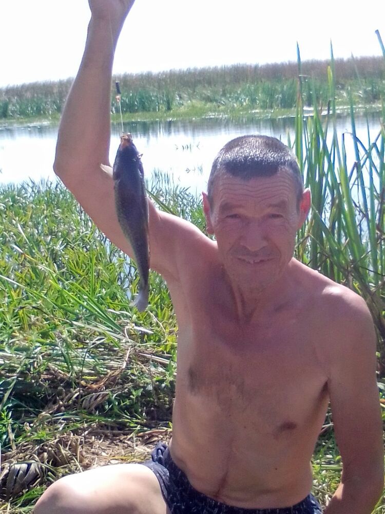 ���� 48704667 ������� �������, 67 ���, ���� ���������� � ��������