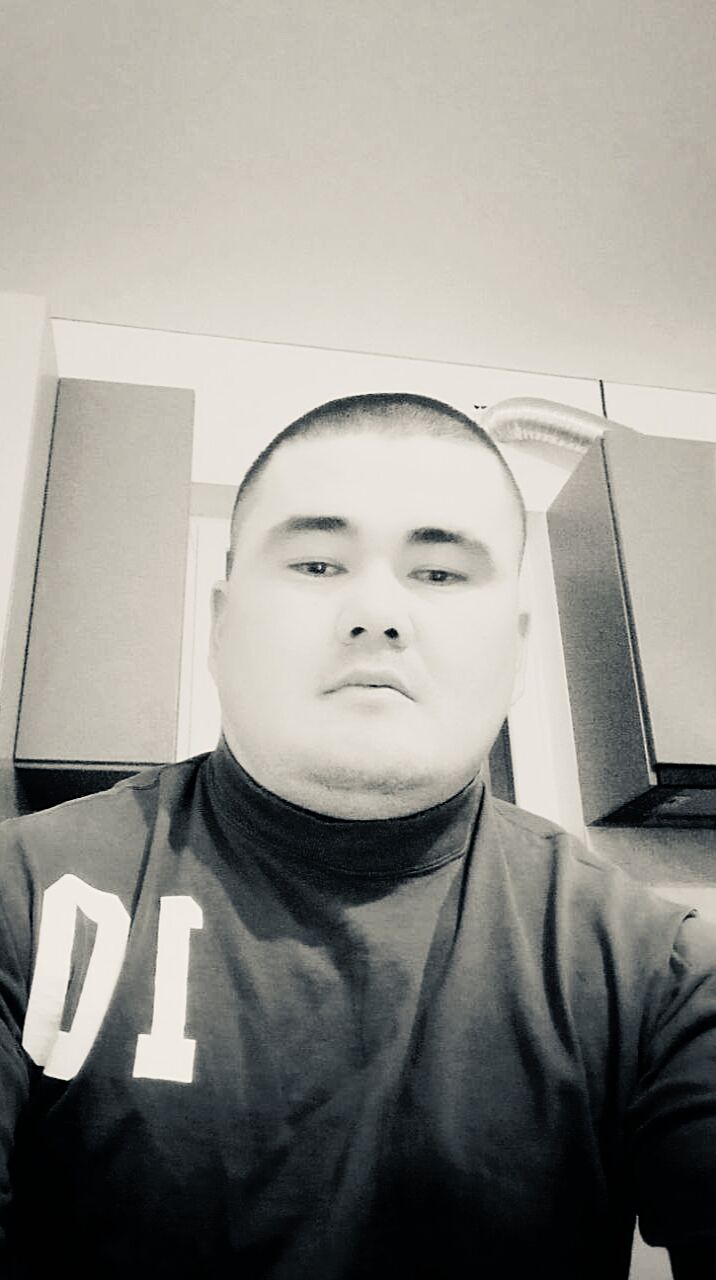  41305677  , 31 ,    