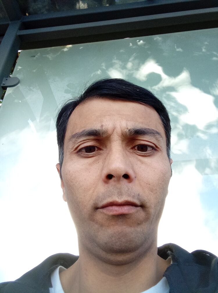 ���� 49703187 ������� ����, 40 ���, ���� ���������� � ������