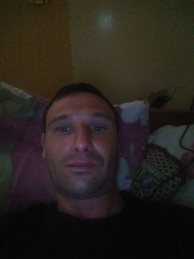  15695887  , 41 ,    