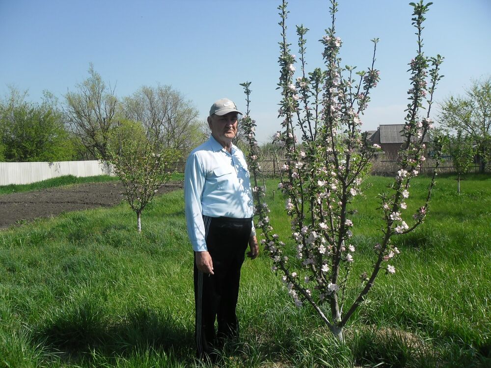 ���� 12339757 ������� Ybrjkfq, 54 ����, ���� ���������� � ����������